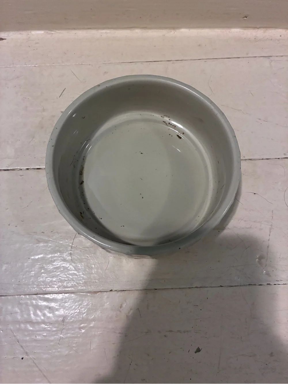 Whisker City Rustic Speckled Ceramic Slip Resistant Kitty Food/Water Bowl 5